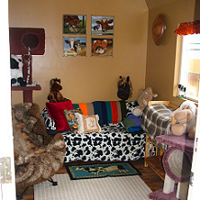 (c) In Good Hands Cat Care