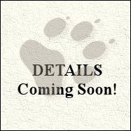 (c) In Good Hands Cat Care