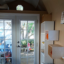 (c) In Good Hands Cat Care