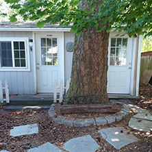 (c) In Good Hands Cat Care