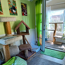 (c) In Good Hands Cat Care