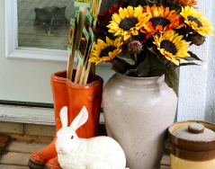 (c) In Good Hands Cat Care