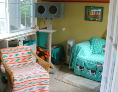 (c) In Good Hands Cat Care