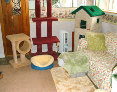 (c) In Good Hands Cat Care