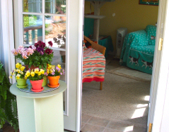 (c) In Good Hands Cat Care